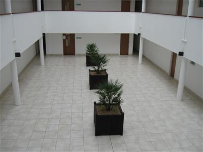 Picture 2